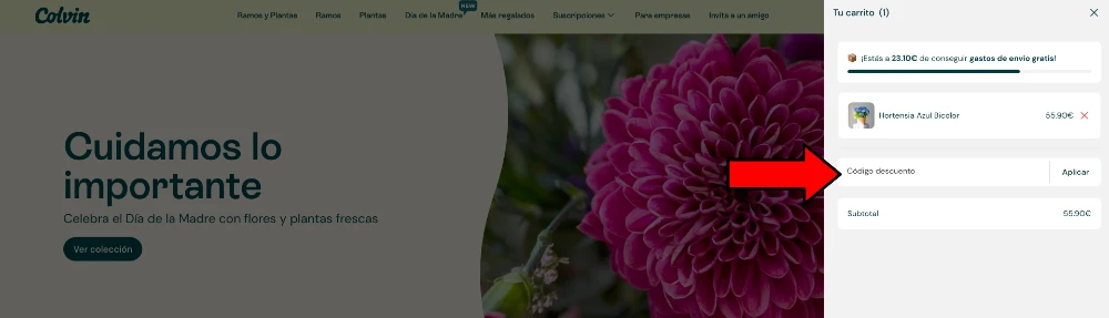 d&oacute;nde aplicar el c&oacute;digo descuento Colvin en tienda online