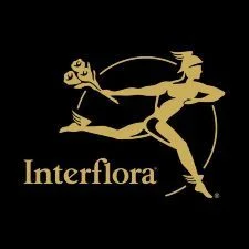 código promocional Interflora código promocional Interflora